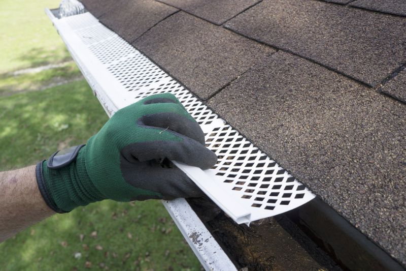 Gutter Screen Replacement detail