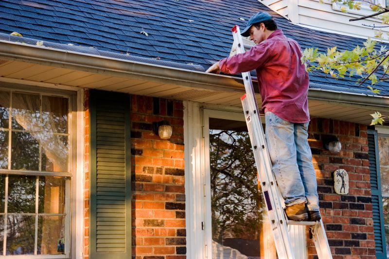 Debris-Free Gutters